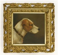 Lot 112 - Circle of George Armfield (1810-1893)