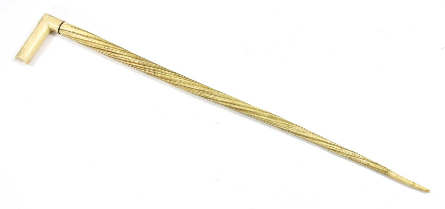 Lot 895 - A narwhal tusk walking stick