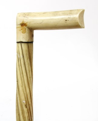 Lot 895 - A narwhal tusk walking stick