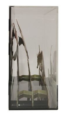 Lot 89 - 'The Race for the Grand National'