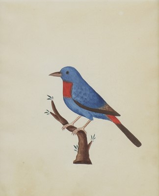 Lot 162 - Company School, 19th century