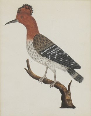 Lot 162 - Company School, 19th century