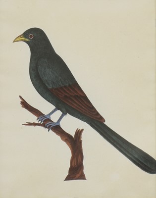 Lot 162 - Company School, 19th century