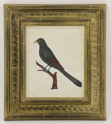 Lot 162 - Company School, 19th century