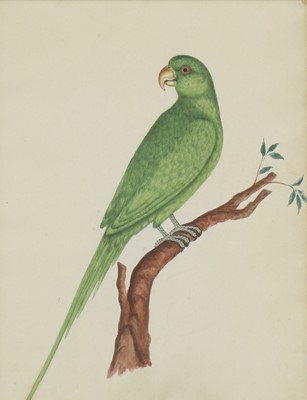 Lot 170 - Company School, 19th century