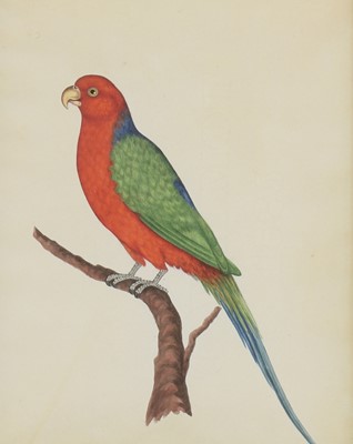 Lot 170 - Company School, 19th century