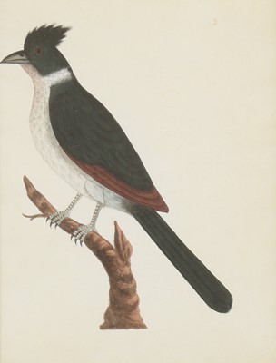Lot 163 - Company School, 19th century