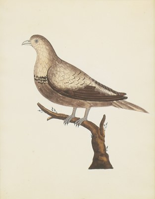 Lot 163 - Company School, 19th century
