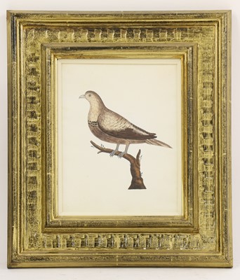Lot 163 - Company School, 19th century