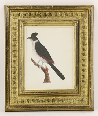Lot 163 - Company School, 19th century