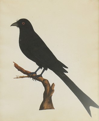 Lot 163 - Company School, 19th century