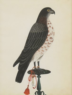 Lot 163 - Company School, 19th century