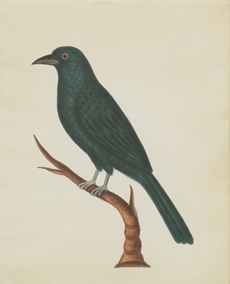 Lot 163 - Company School, 19th century