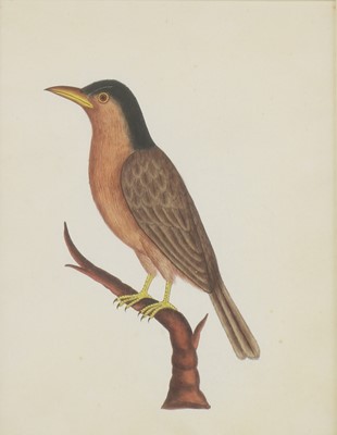 Lot 164 - Company School, 19th century