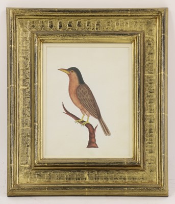 Lot 164 - Company School, 19th century