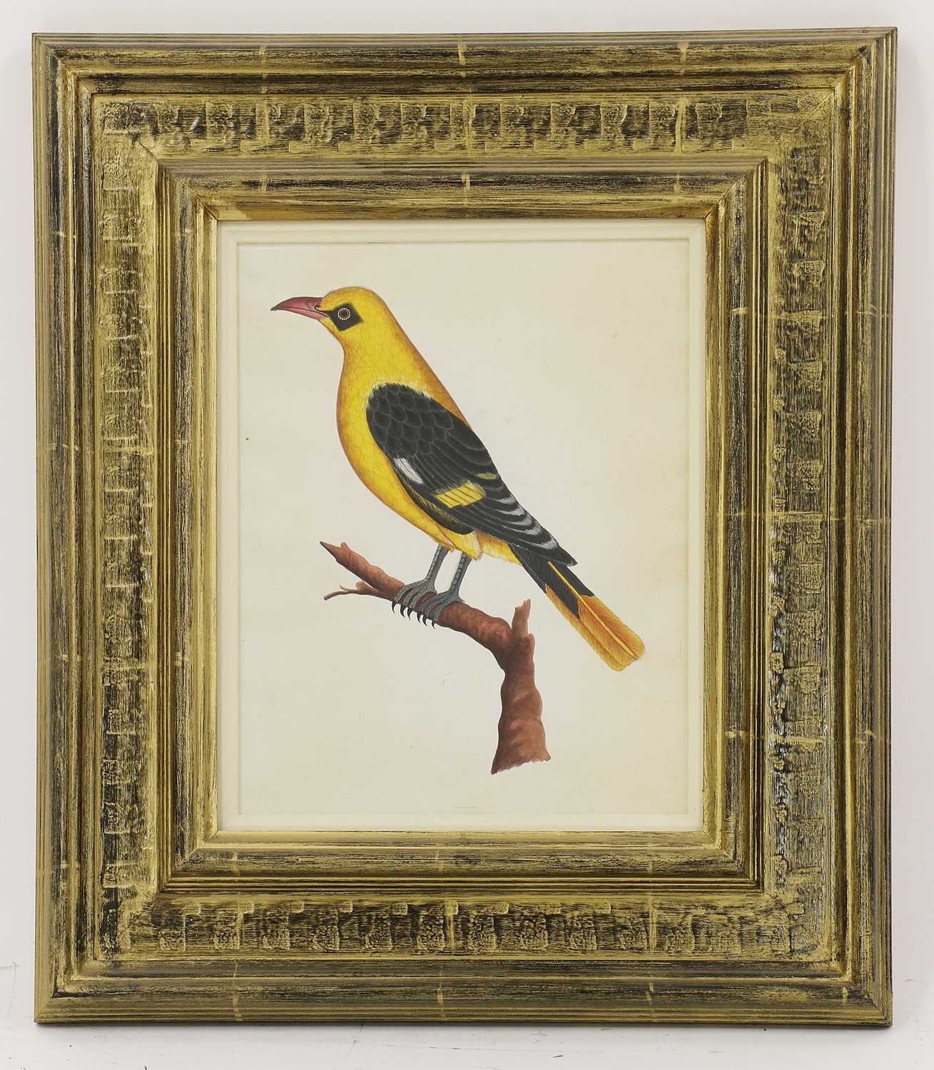Lot 164 - Company School, 19th century