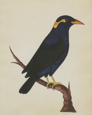Lot 164 - Company School, 19th century
