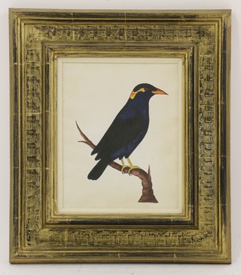Lot 164 - Company School, 19th century