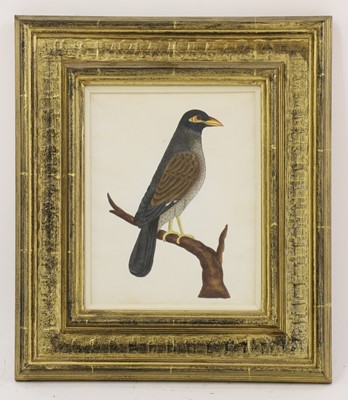 Lot 164 - Company School, 19th century
