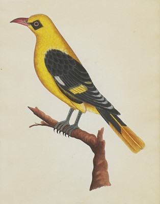 Lot 164 - Company School, 19th century