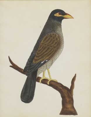 Lot 164 - Company School, 19th century