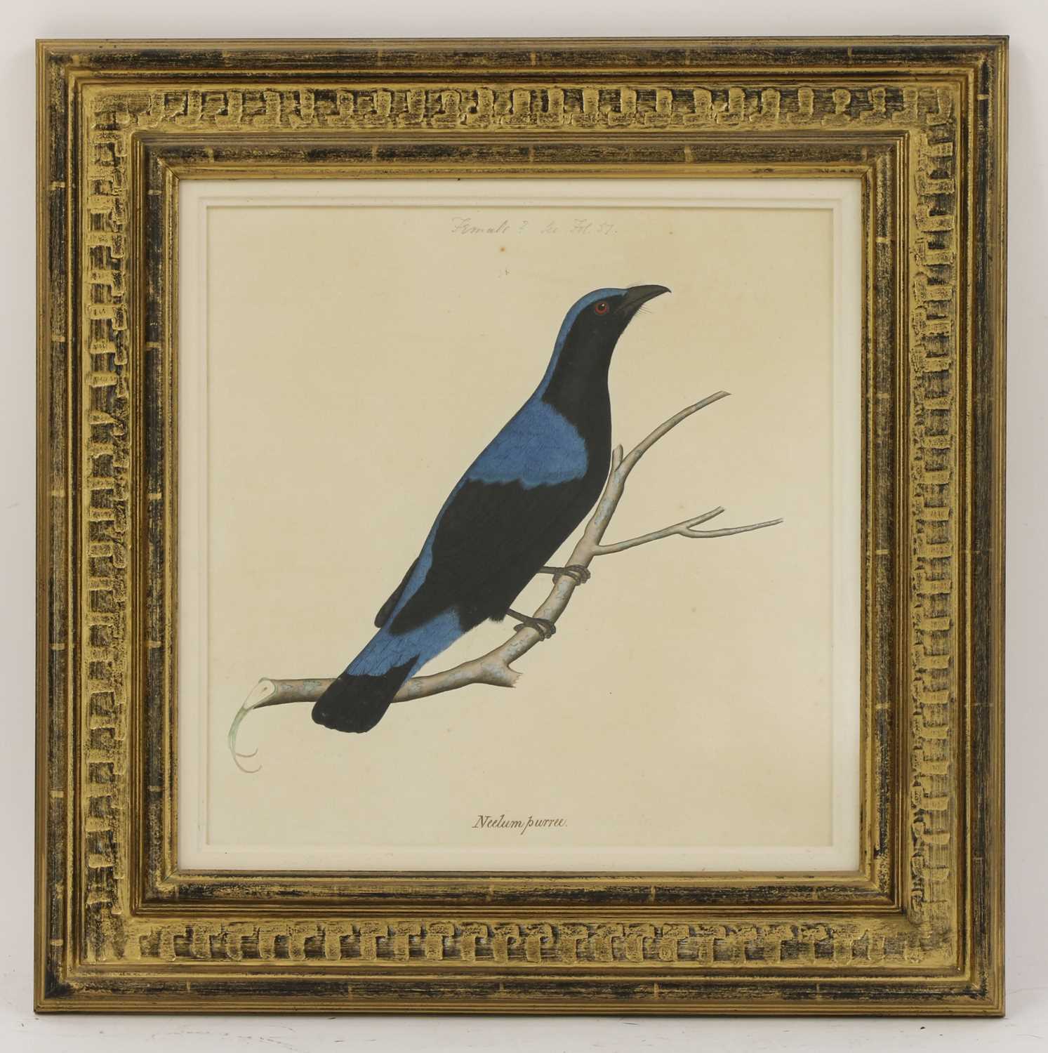 Lot 169 - Company School, 19th century