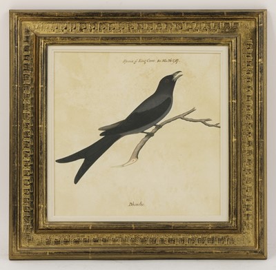 Lot 169 - Company School, 19th century