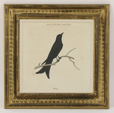 Lot 169 - Company School, 19th century