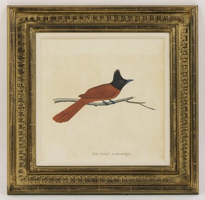 Lot 169 - Company School, 19th century
