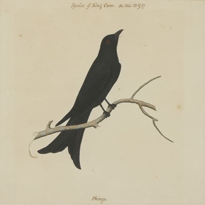 Lot 169 - Company School, 19th century
