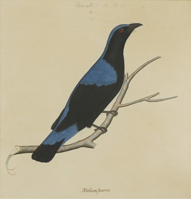 Lot 169 - Company School, 19th century