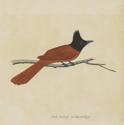 Lot 169 - Company School, 19th century