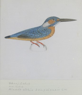 Lot 167 - Company School, 19th century