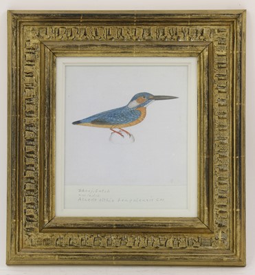 Lot 167 - Company School, 19th century