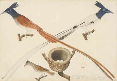 Lot 167 - Company School, 19th century