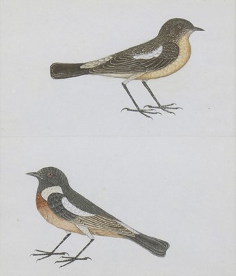 Lot 167 - Company School, 19th century