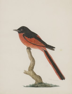 Lot 150 - Company School, 19th century