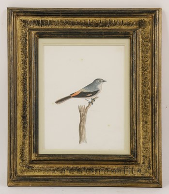 Lot 150 - Company School, 19th century