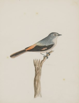Lot 150 - Company School, 19th century