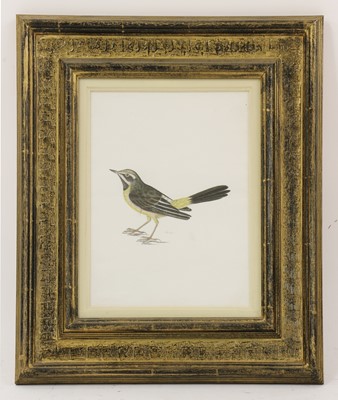 Lot 150 - Company School, 19th century