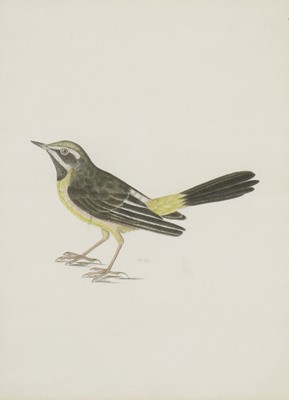 Lot 150 - Company School, 19th century