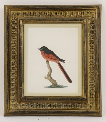 Lot 150 - Company School, 19th century