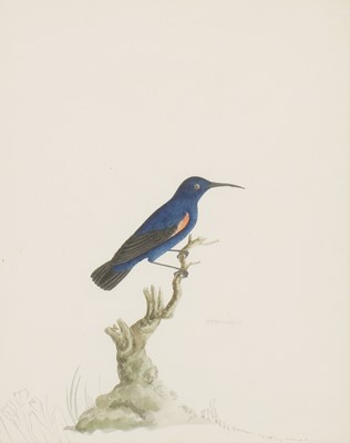 Lot 150 - Company School, 19th century