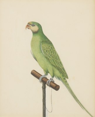 Lot 151 - Company School, 19th century