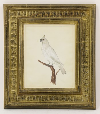 Lot 151 - Company School, 19th century