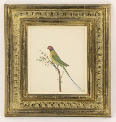 Lot 151 - Company School, 19th century