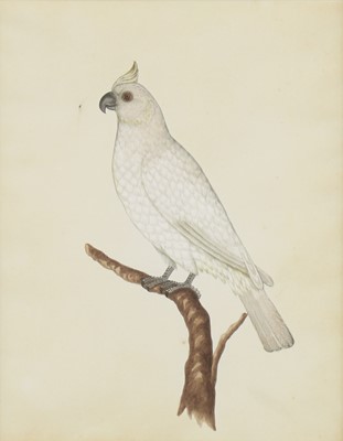 Lot 151 - Company School, 19th century