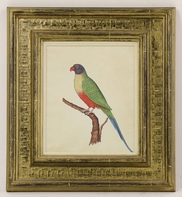 Lot 151 - Company School, 19th century