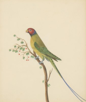 Lot 151 - Company School, 19th century