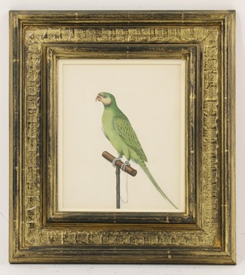 Lot 151 - Company School, 19th century